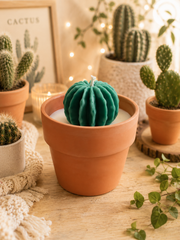 Cactus Succulent Candle