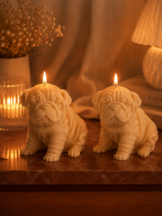 Frenchie Dog Candle 6x6 inches