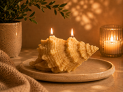 Natural Shell Candle