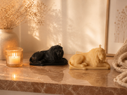 Medium Lion Candle