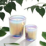 Unlabeled 12 PCS - Prism Sonoma Tumbler Jar Candle