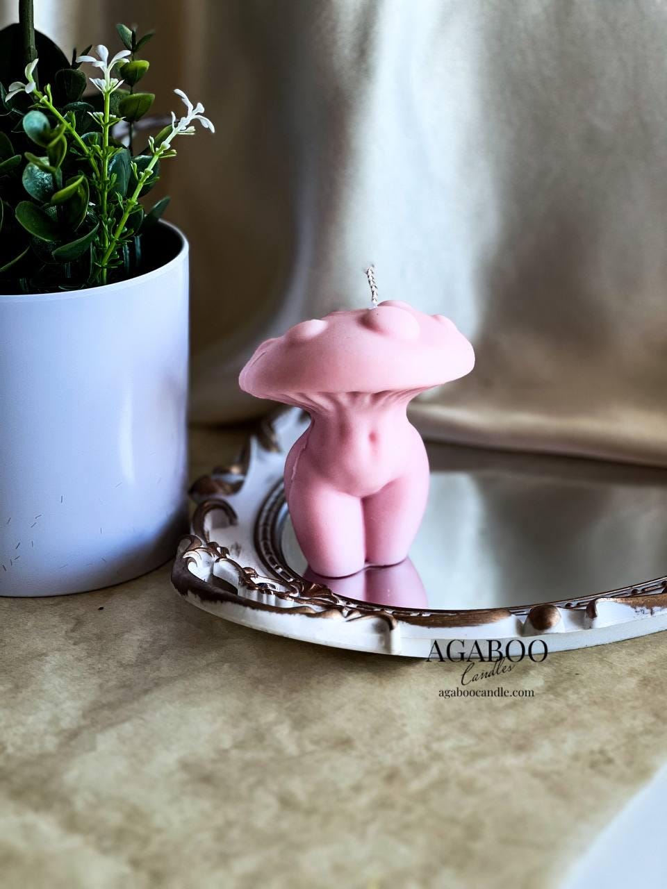 Mushroom Body Candle