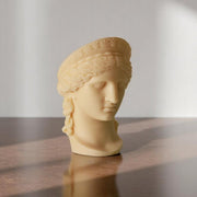 Statue head on a wooden surface with a neutral background