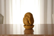 Python Candle