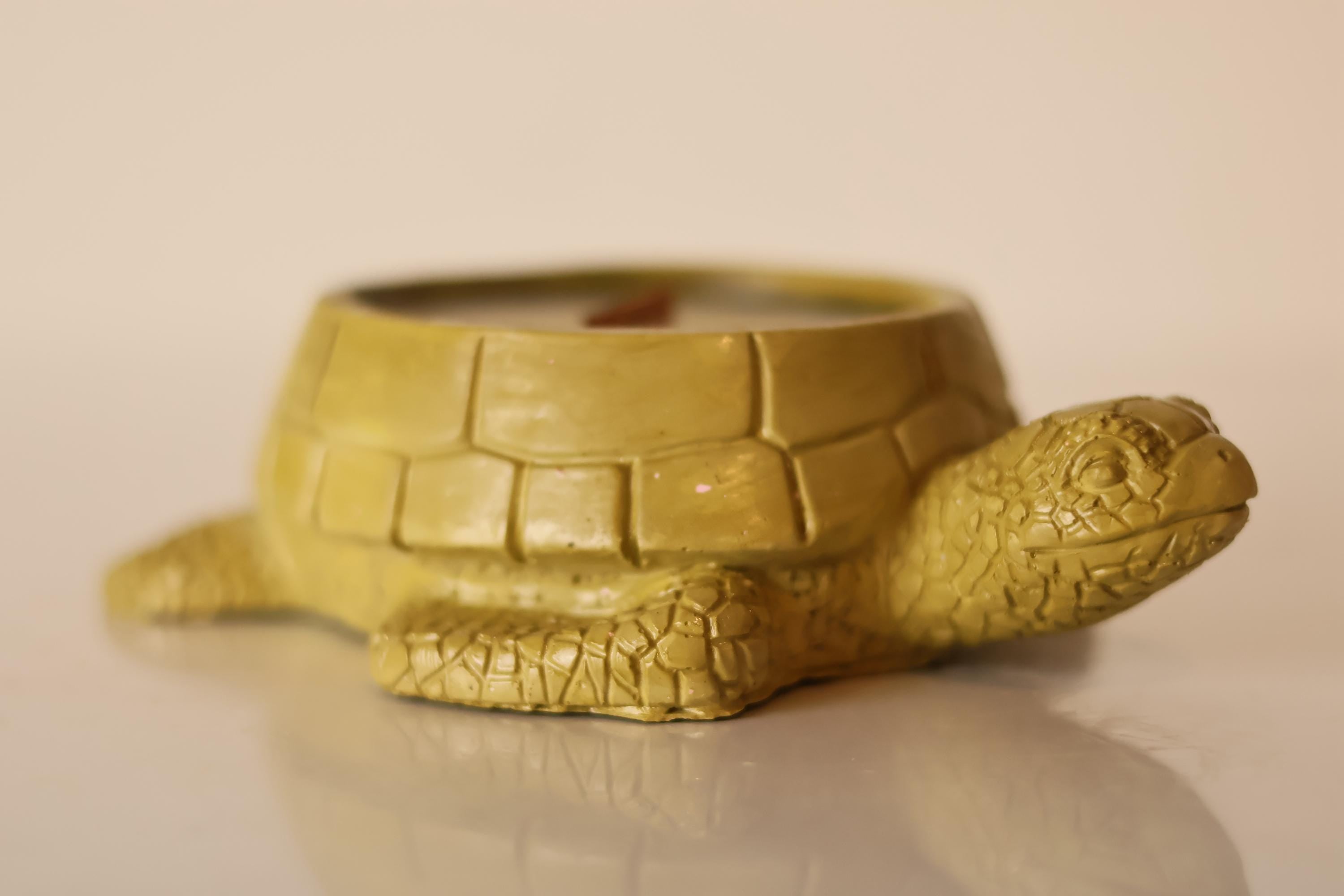 Turtle-Shaped Candle