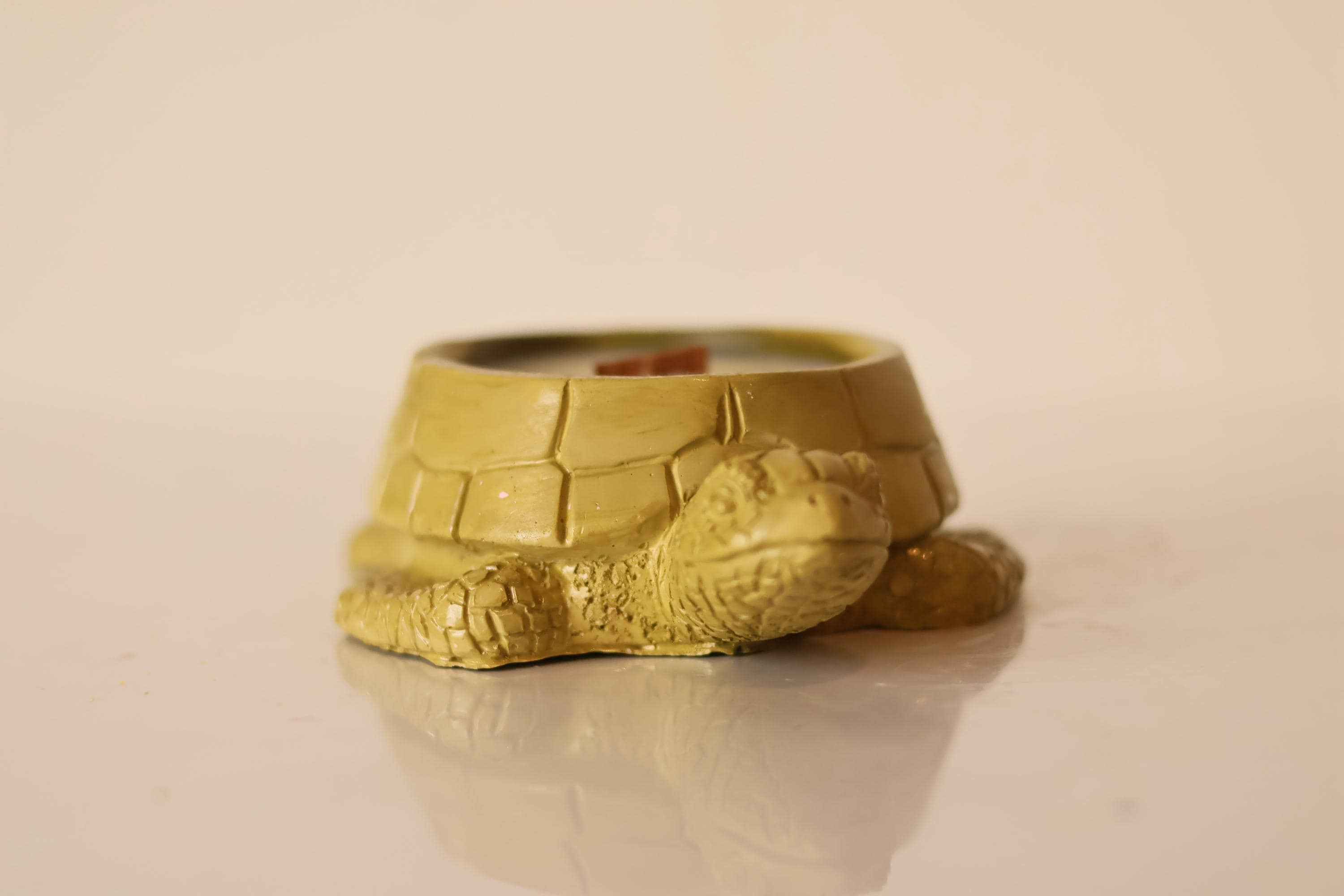 Turtle-Shaped Candle
