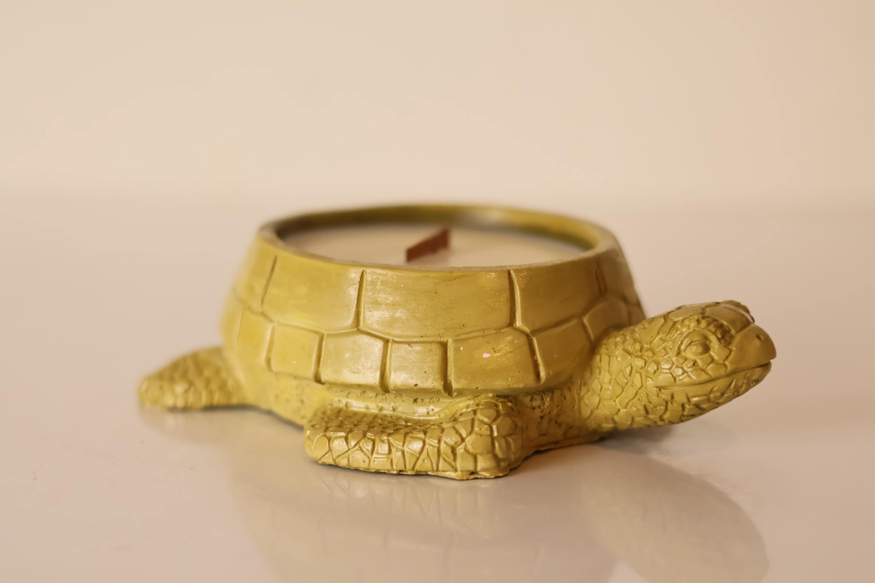 Turtle-Shaped Candle