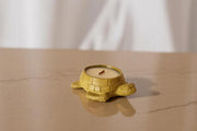 Turtle-Shaped Candle