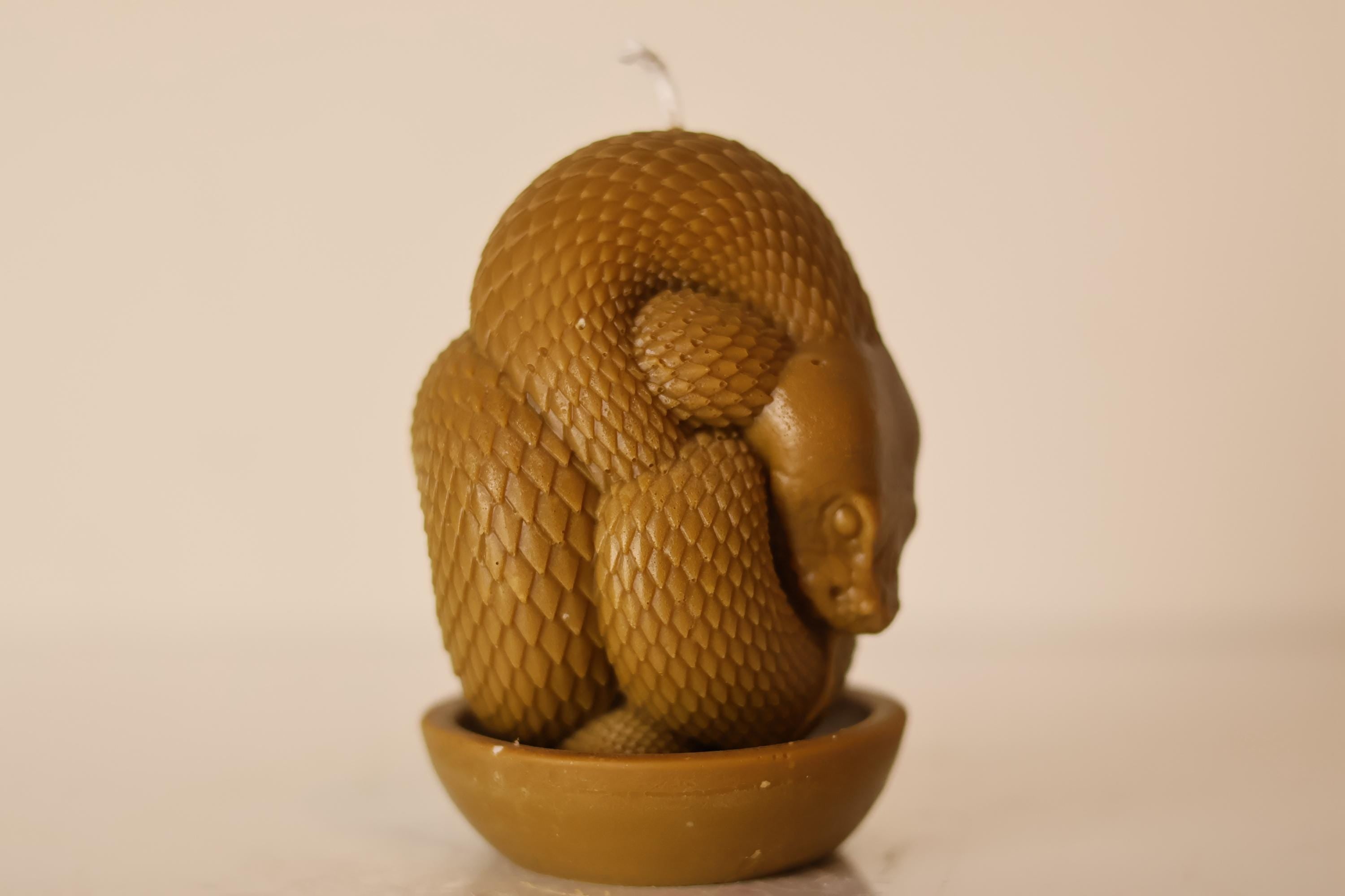 Python Candle