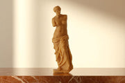 Large Venus Candle