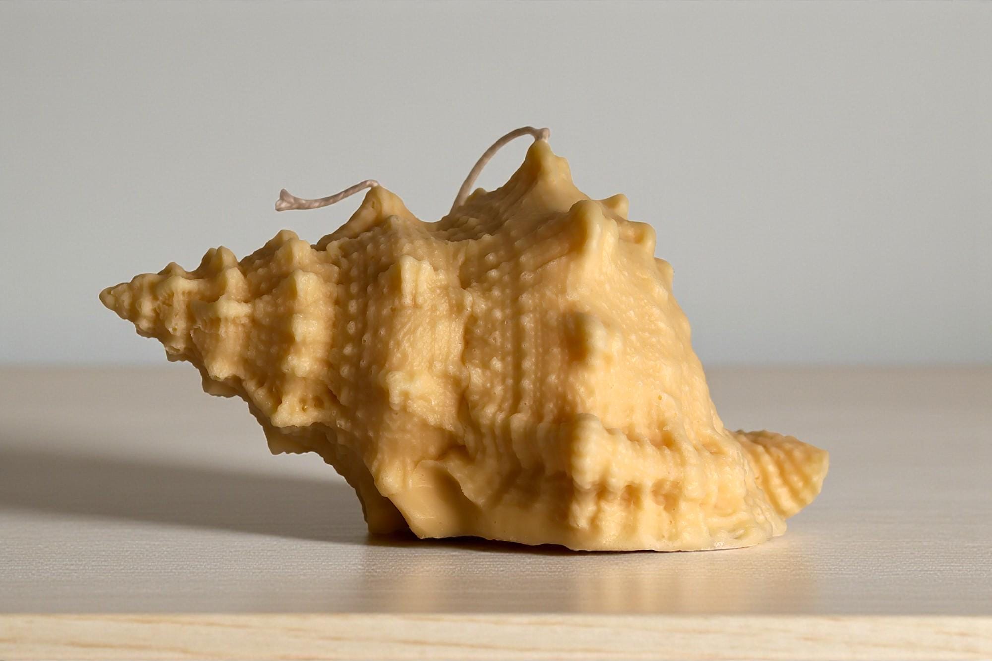 Natural Shell Candle