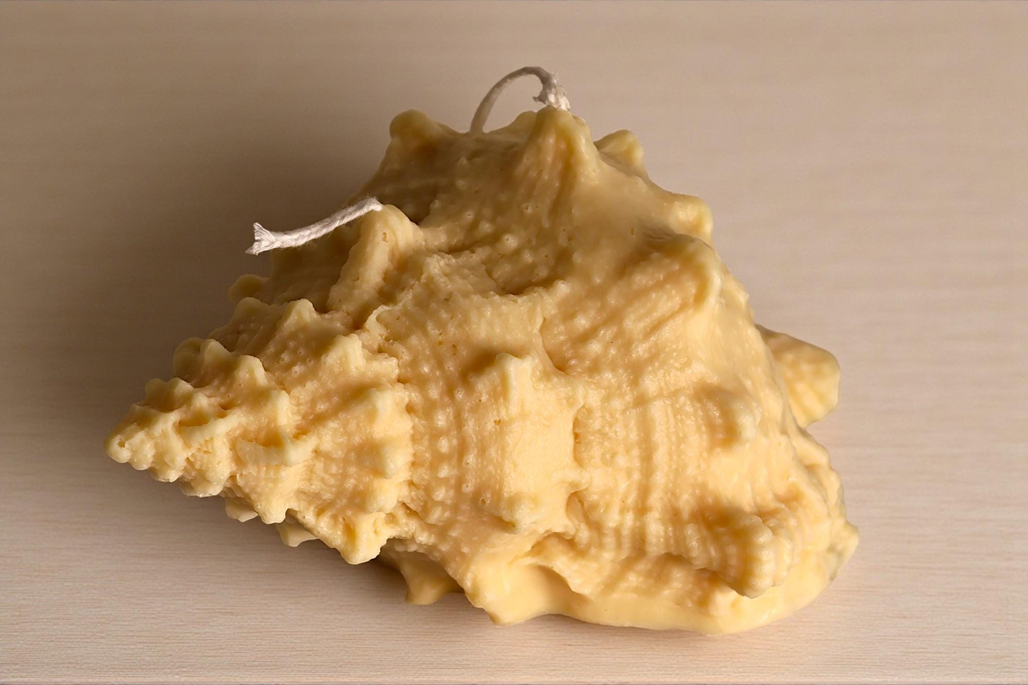 Natural Shell Candle