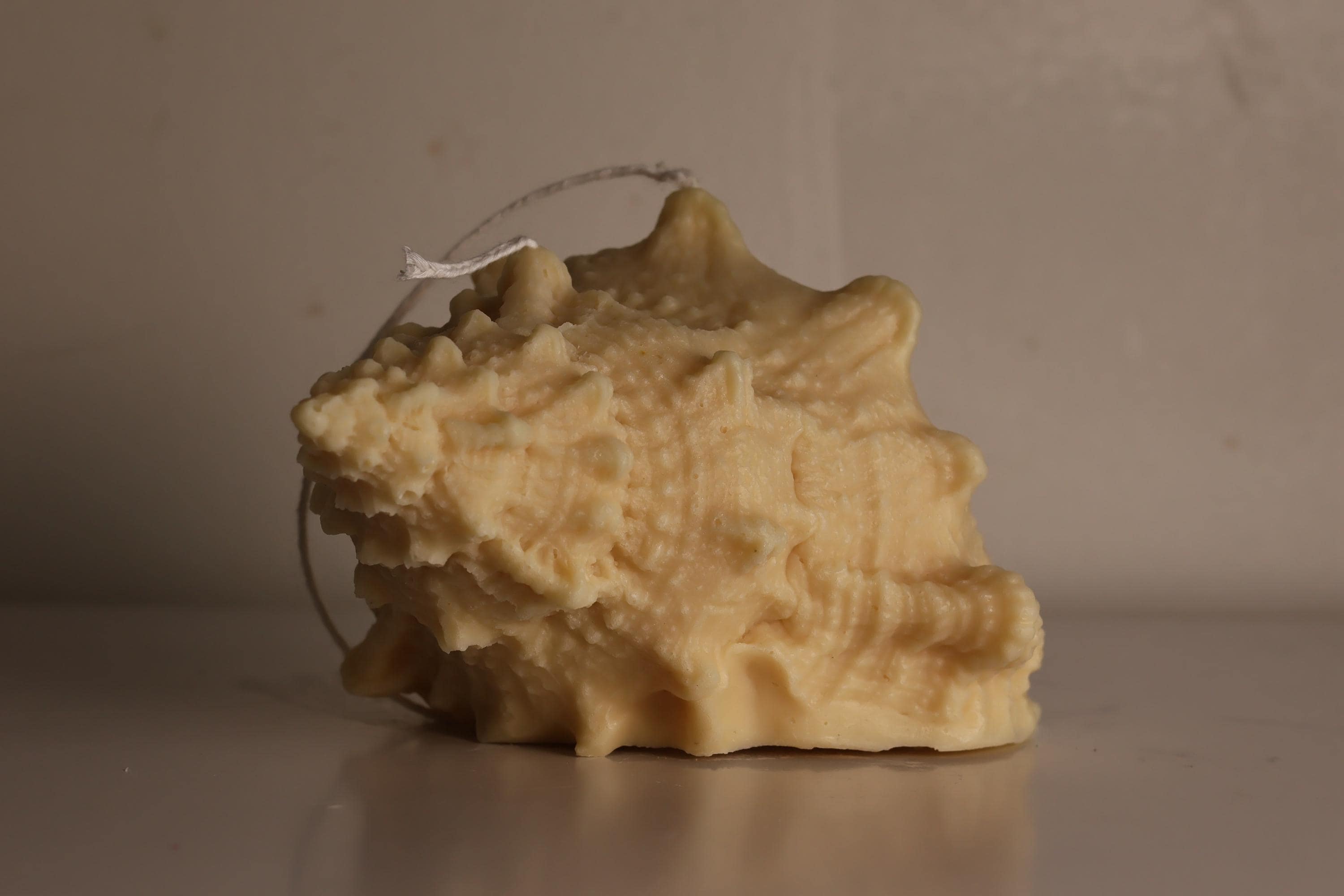 Natural Shell Candle