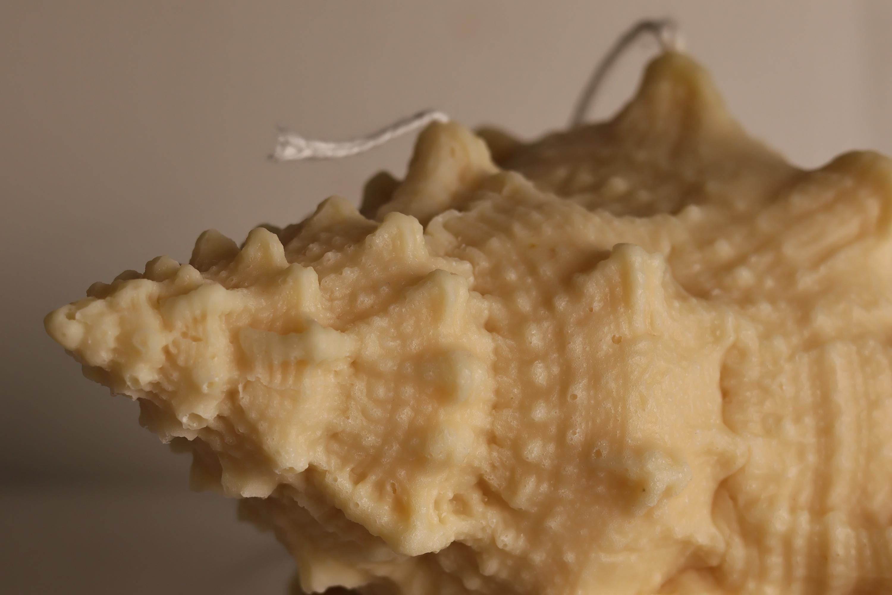 Natural Shell Candle